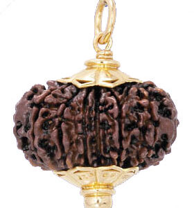 5 Mukhi Rudraksha (Lab-Certified) for Divine Protection & Spiritual Balance